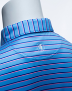 The Congressional Polo