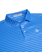 The Congressional Polo