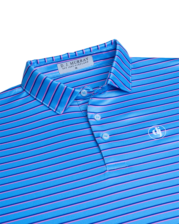 The Congressional Polo