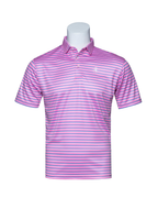 The Seminole Polo