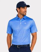 The Congressional Polo